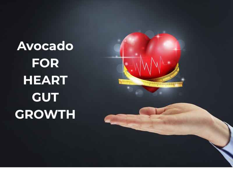 AVOCADO FOR GUT,HEART AND NATURAL GROWTH